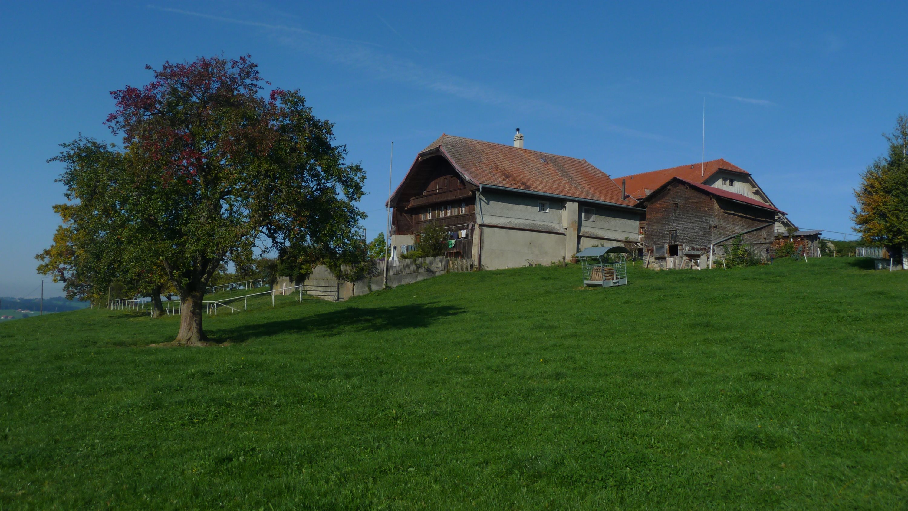 P1030152.JPG